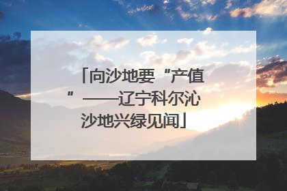 向沙地要“产值”——辽宁科尔沁沙地兴绿见闻